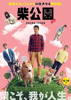 精品亚洲一区二区三区在线观看
