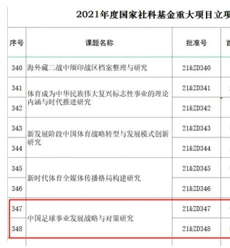 第二婚的小妻子