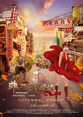 荷兰空姐2023年电影