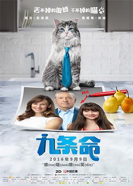 激情小说 激情视频