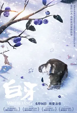 国产精品久久久久精品综合紧