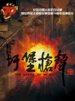 国产精品亚洲精品青青青