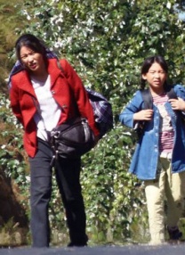 噼里啪啦的动漫在线观看