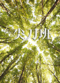 888午夜不卡理论久久